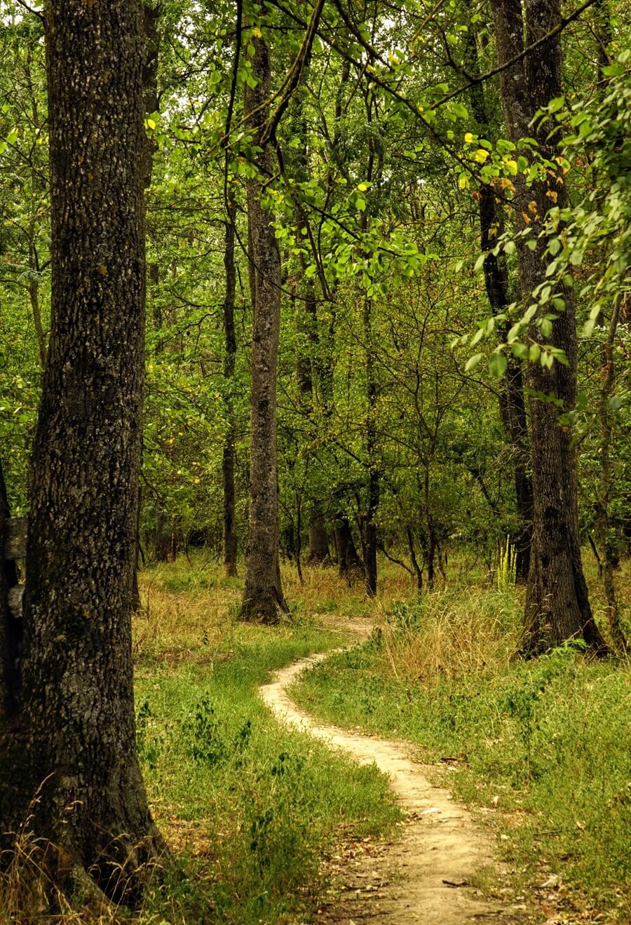 Find Direction